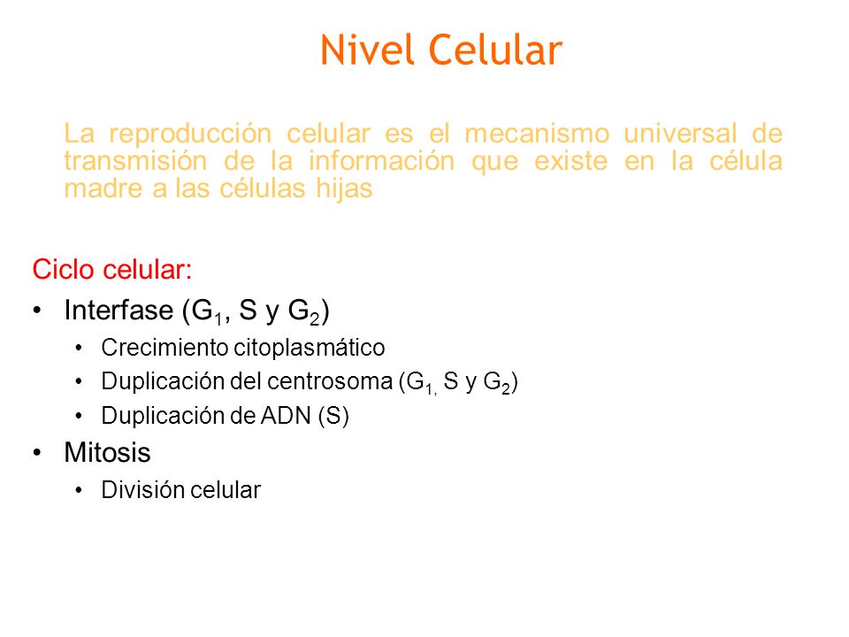 Nivel Celular La reproducción celular es el mecanismo universal de transmisión de la información que existe en la célula madre a las células hijas.