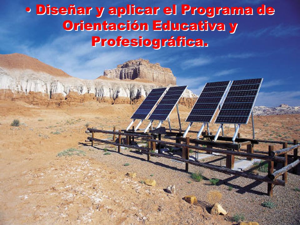 Diseñar y aplicar el Programa de Orientación Educativa y Profesiográfica.