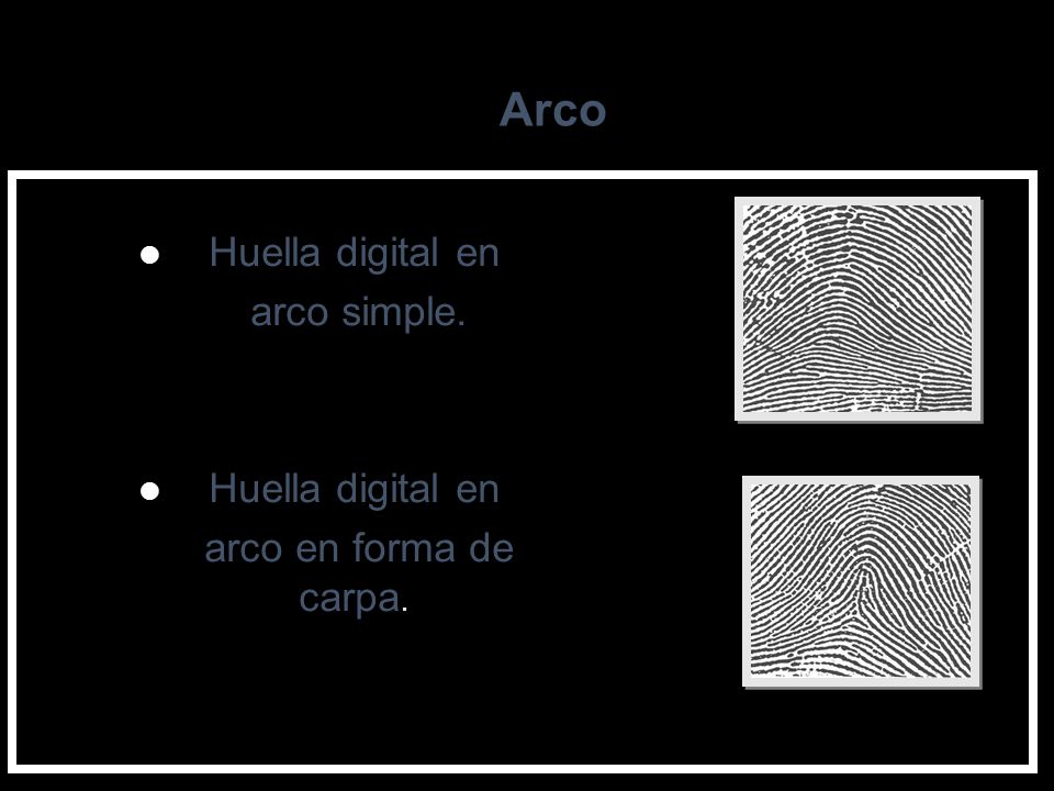 Arco Huella digital en arco simple. arco en forma de carpa.