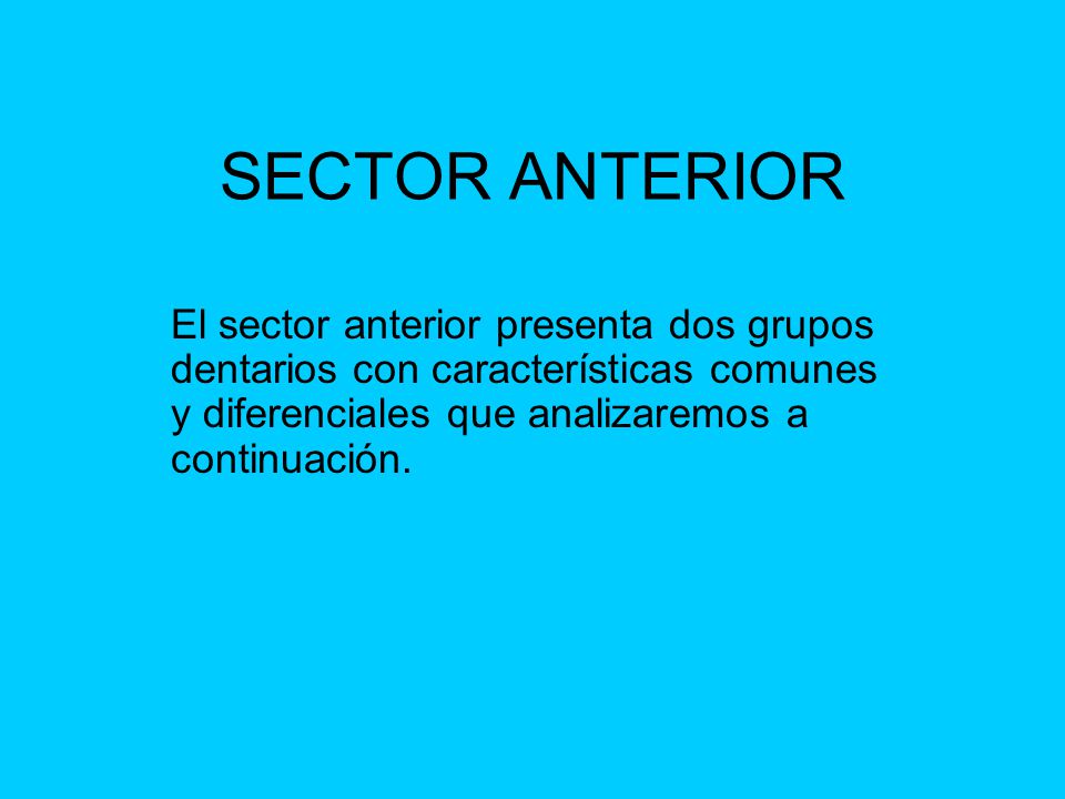SECTOR ANTERIOR El sector anterior presenta dos grupos dentarios con características comunes y diferenciales que analizaremos a continuación.