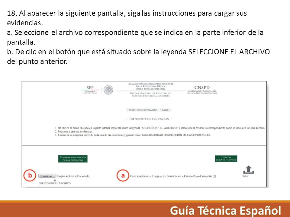 18. Al aparecer la siguiente pantalla, siga las instrucciones para cargar sus evidencias.