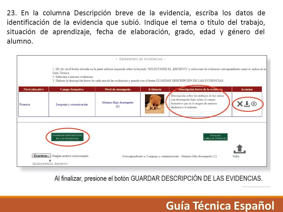 23. En la columna Descripción breve de la evidencia, escriba los datos de identificación de la evidencia que subió. Indique el tema o título del trabajo, situación de aprendizaje, fecha de elaboración, grado, edad y género del alumno.