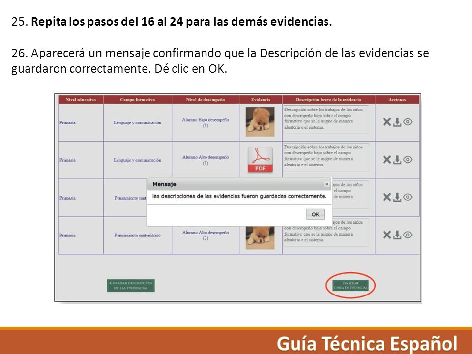 25. Repita los pasos del 16 al 24 para las demás evidencias.