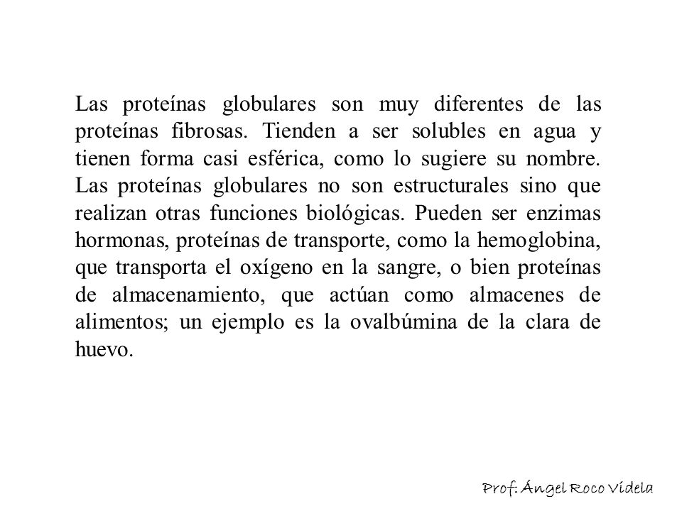 Las proteínas globulares son muy diferentes de las proteínas fibrosas
