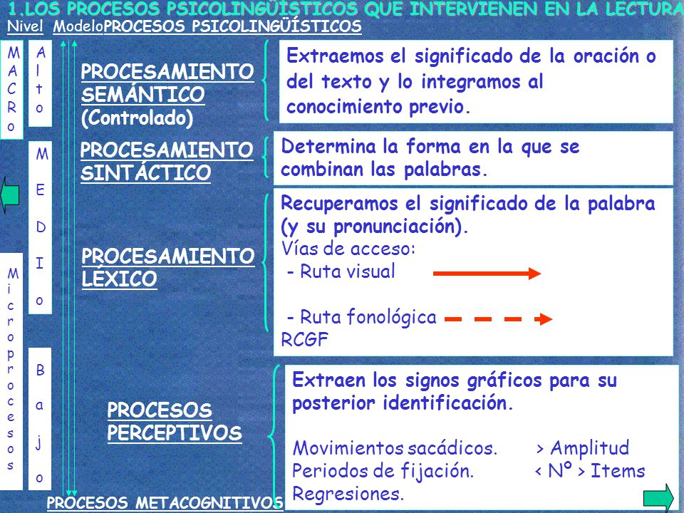 Determina la forma en la que se combinan las palabras.