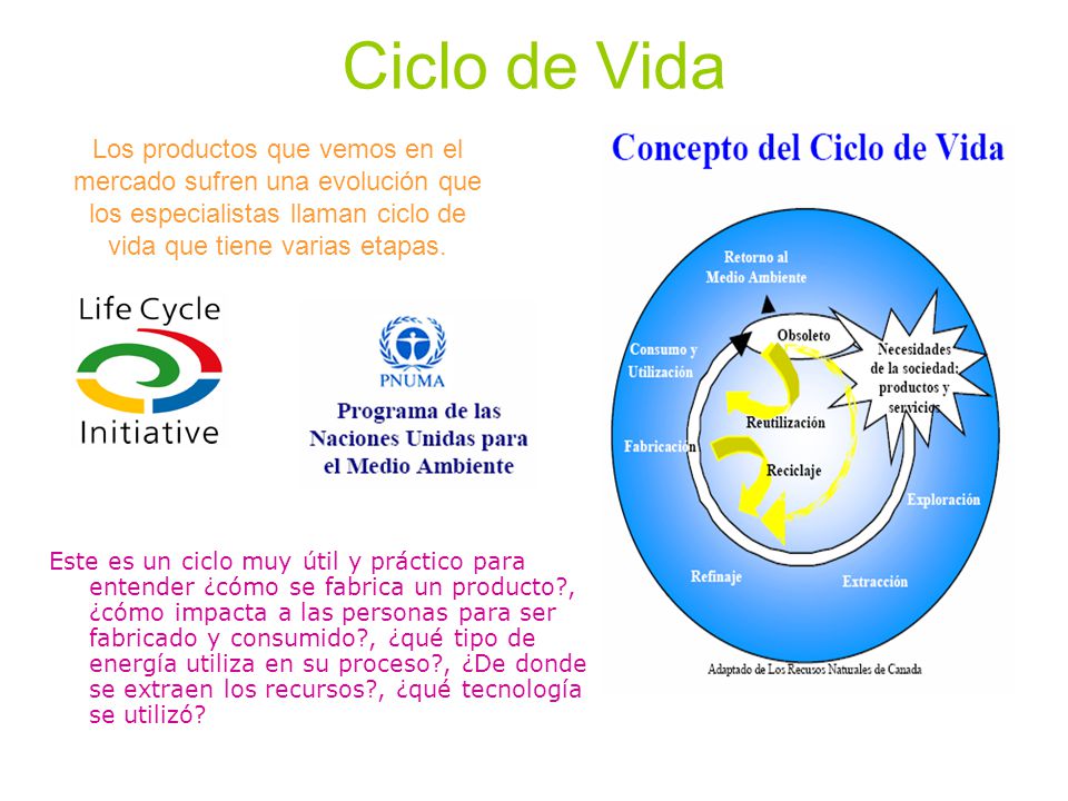Ciclo de Vida Los productos que vemos en el mercado sufren una evolución que los especialistas llaman ciclo de vida que tiene varias etapas.