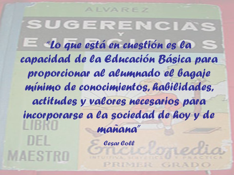 Lo que está en cuestión es la capacidad de la Educación Básica para proporcionar al alumnado el bagaje mínimo de conocimientos, habilidades, actitudes y valores necesarios para incorporarse a la sociedad de hoy y de mañana