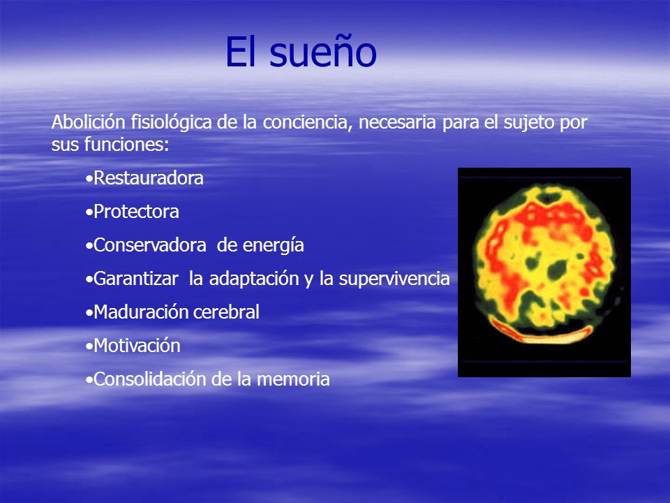 El sueño Abolición fisiológica de la conciencia, necesaria para el sujeto por sus funciones: Restauradora.