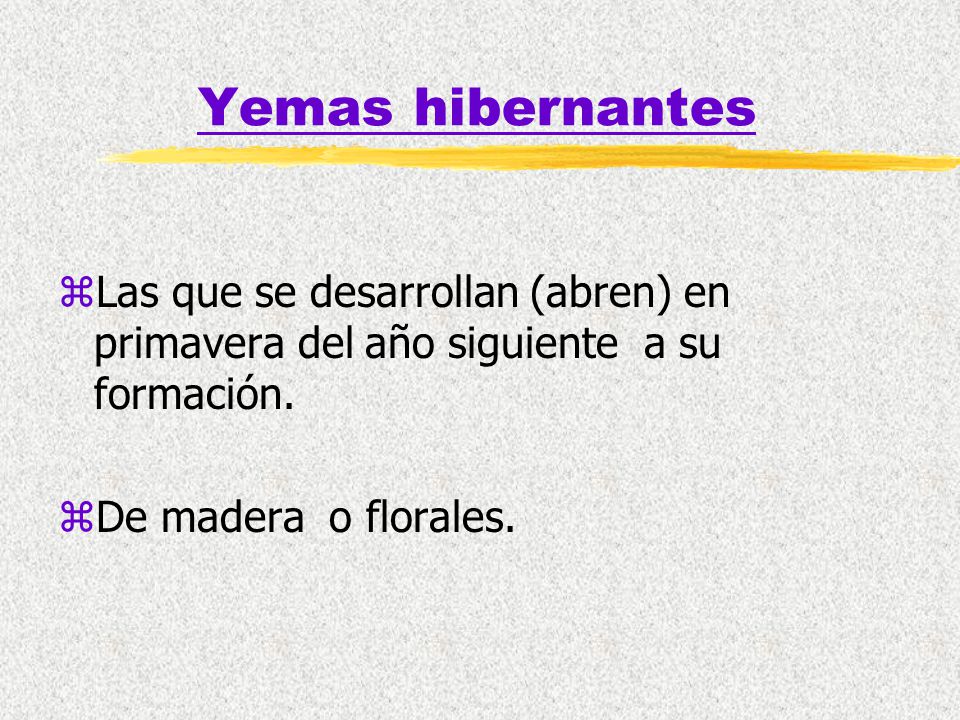 Yemas hibernantes Las que se desarrollan (abren) en primavera del año siguiente a su formación.