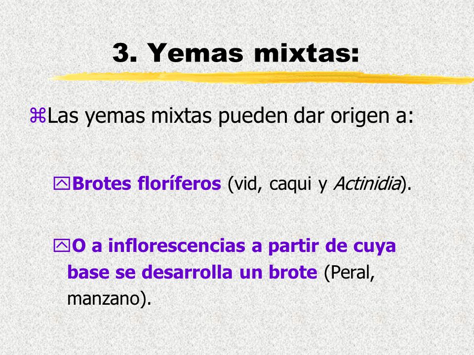 3. Yemas mixtas: Las yemas mixtas pueden dar origen a: