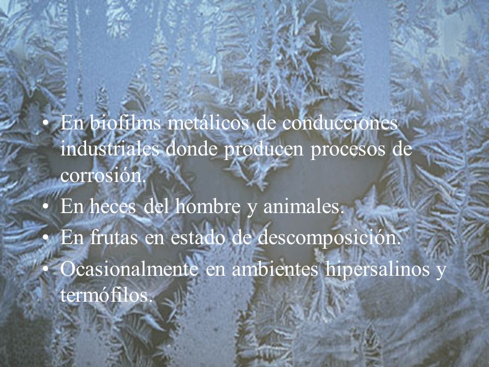 En biofilms metálicos de conducciones industriales donde producen procesos de corrosión.