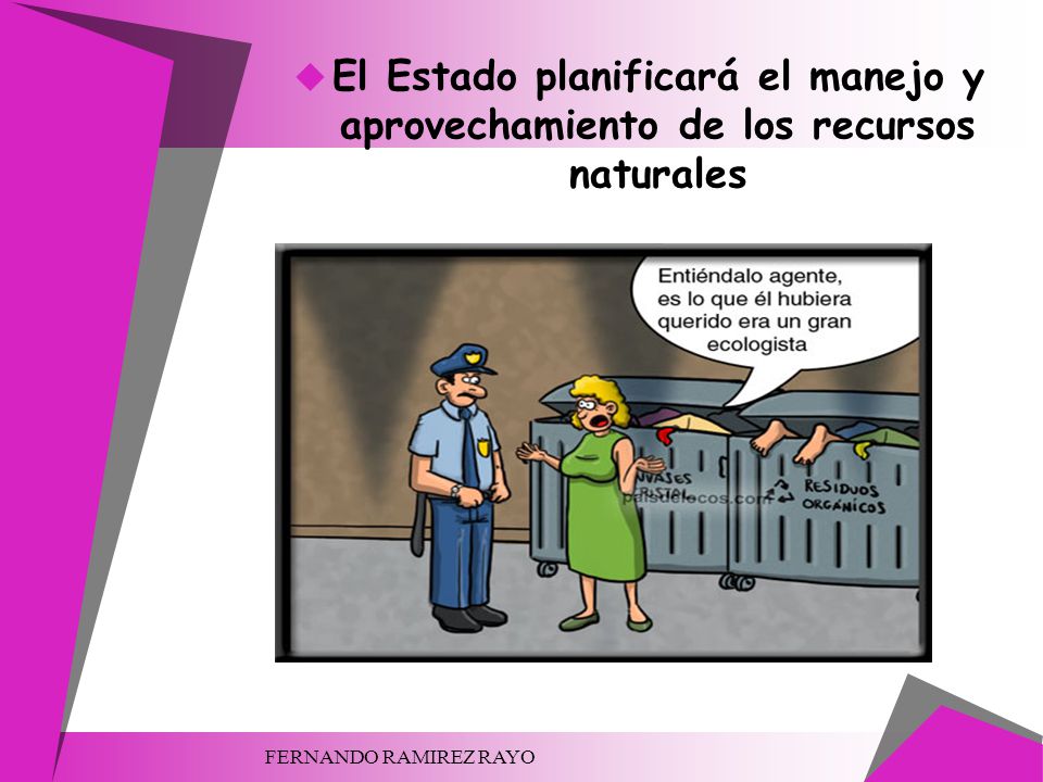 El Estado planificará el manejo y aprovechamiento de los recursos naturales