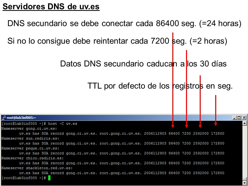 DNS secundario se debe conectar cada seg. (=24 horas)