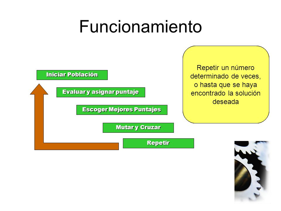 Funcionamiento Inicializar aleatoriamente una población de soluciones a un problema, representadas por una estructura de datos adecuada.