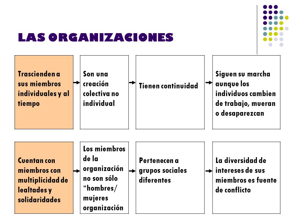 LAS ORGANIZACIONES Trascienden a sus miembros individuales y al tiempo
