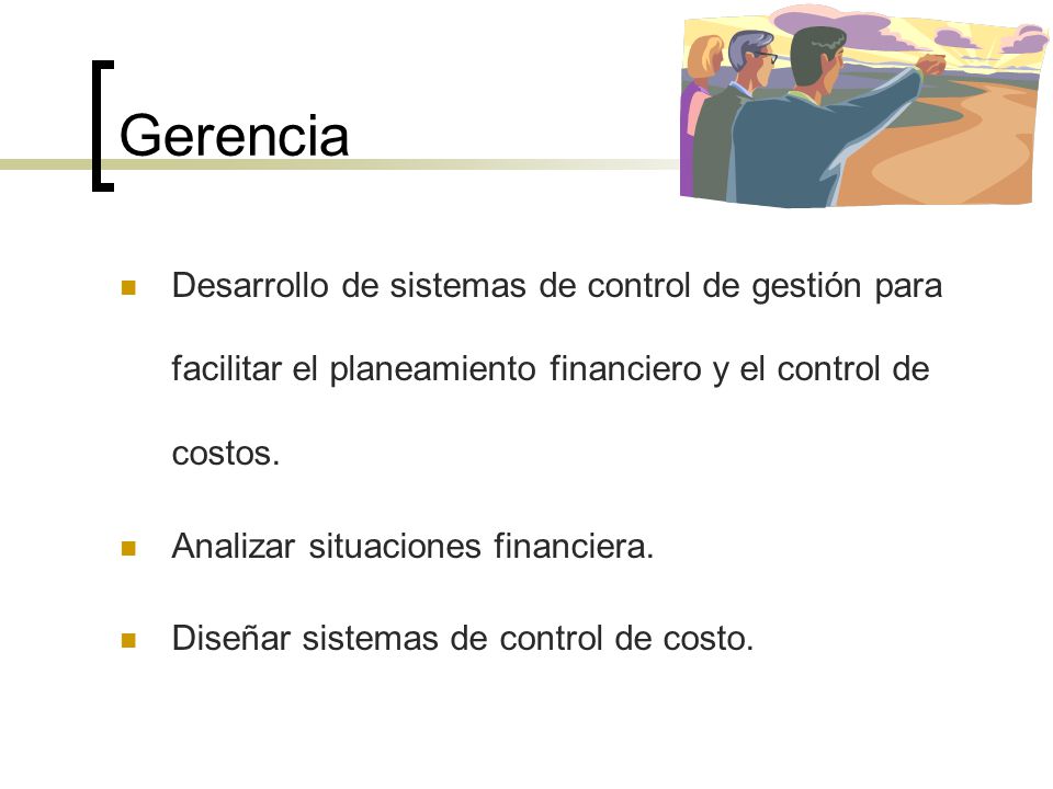 Gerencia Desarrollo de sistemas de control de gestión para facilitar el planeamiento financiero y el control de costos.