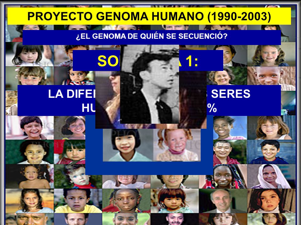 PROYECTO GENOMA HUMANO ( ) ¿EL GENOMA DE QUIÉN SE SECUENCIÓ