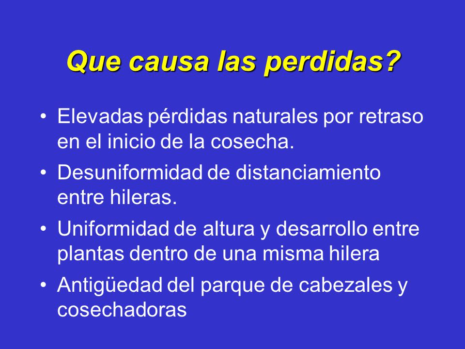 Que causa las perdidas Elevadas pérdidas naturales por retraso en el inicio de la cosecha. Desuniformidad de distanciamiento entre hileras.