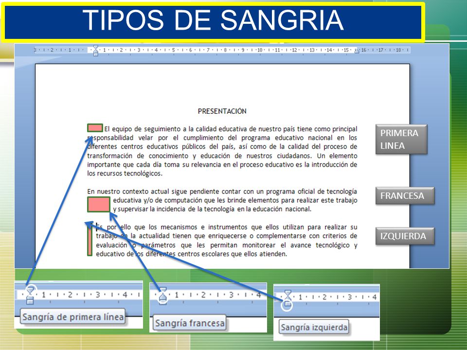 TIPOS DE SANGRIA PRIMERA LINEA FRANCESA IZQUIERDA