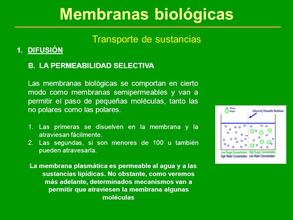 Transporte de sustancias