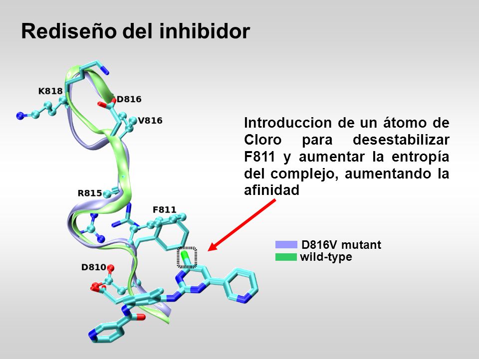 Rediseño del inhibidor