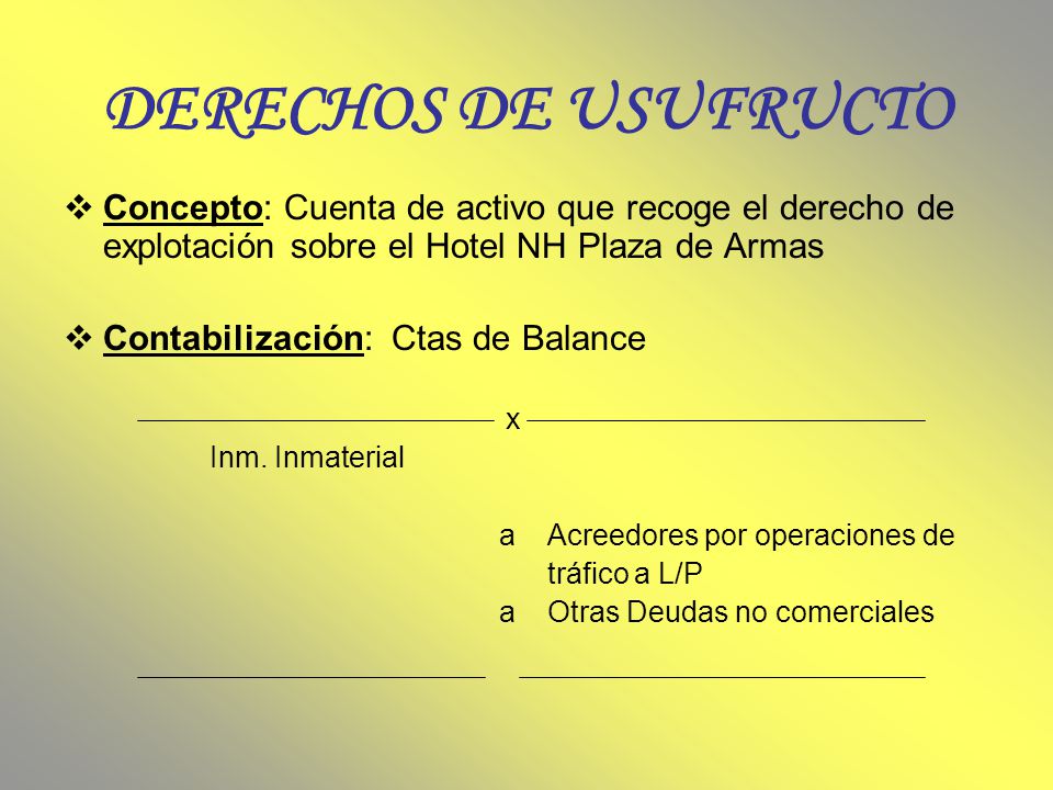 DERECHOS DE USUFRUCTO Concepto: Cuenta de activo que recoge el derecho de explotación sobre el Hotel NH Plaza de Armas.