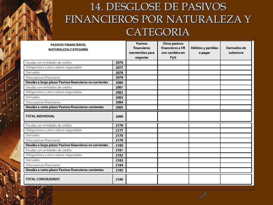 14. DESGLOSE DE PASIVOS FINANCIEROS POR NATURALEZA Y CATEGORIA
