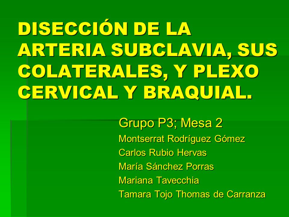 DISECCIÓN DE LA ARTERIA SUBCLAVIA, SUS COLATERALES, Y PLEXO CERVICAL Y BRAQUIAL.