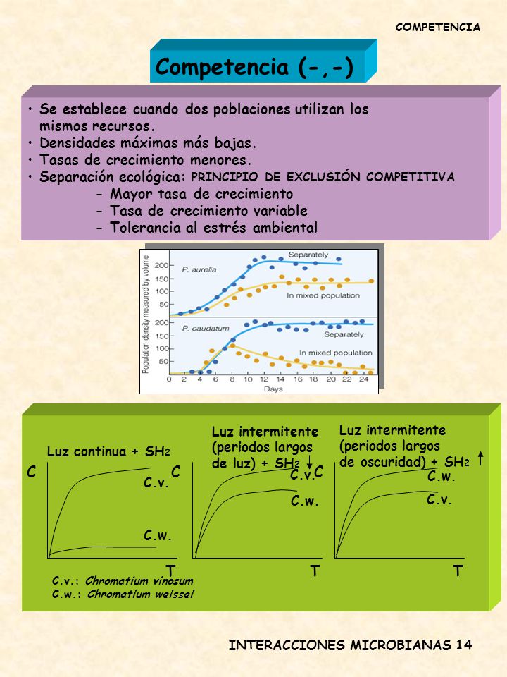 COMPETENCIA Competencia (-,-) Se establece cuando dos poblaciones utilizan los. mismos recursos. Densidades máximas más bajas.
