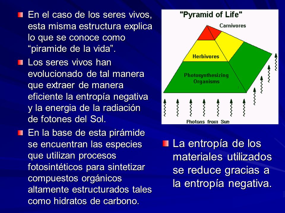 En el caso de los seres vivos, esta misma estructura explica lo que se conoce como piramide de la vida .