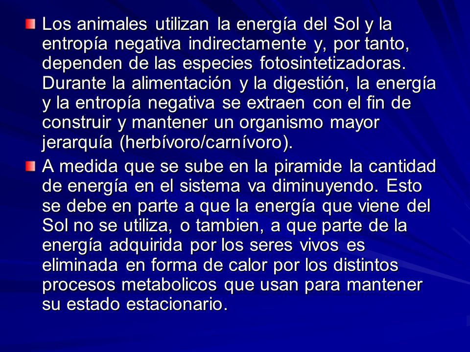 Los animales utilizan la energía del Sol y la entropía negativa indirectamente y, por tanto, dependen de las especies fotosintetizadoras. Durante la alimentación y la digestión, la energía y la entropía negativa se extraen con el fin de construir y mantener un organismo mayor jerarquía (herbívoro/carnívoro).