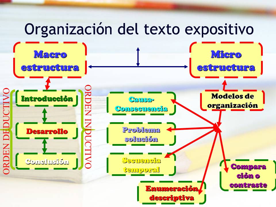 Organización del texto expositivo Organización del texto expositivo