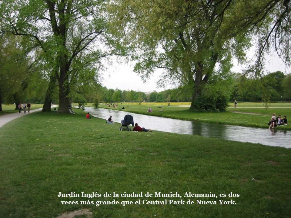 Jardín Inglés de la ciudad de Munich, Alemania, es dos veces más grande que el Central Park de Nueva York.