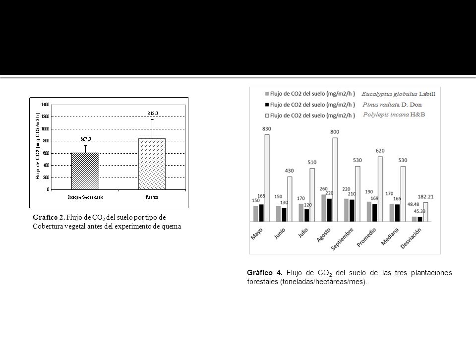 Gráfico 2. Flujo de CO2 del suelo por tipo de