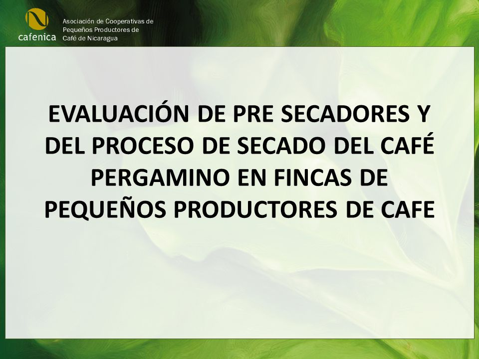 EVALUACIÓN DE PRE SECADORES Y DEL PROCESO DE SECADO DEL CAFÉ PERGAMINO EN FINCAS DE PEQUEÑOS PRODUCTORES DE CAFE
