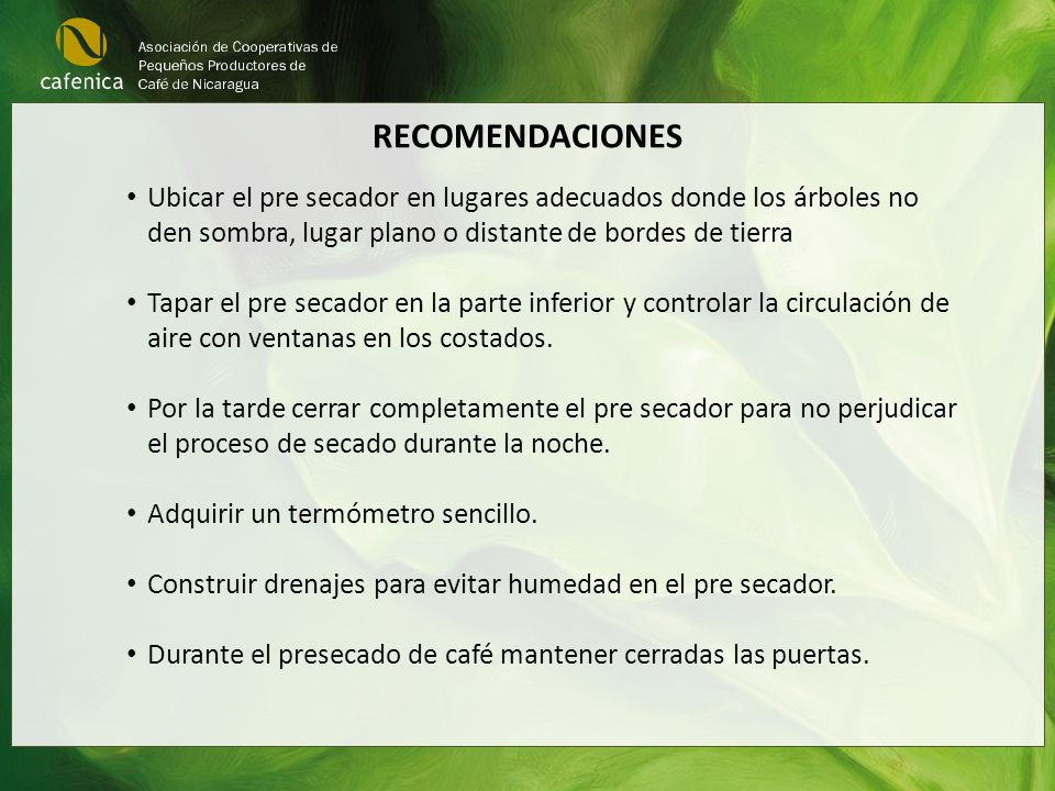 RECOMENDACIONES Ubicar el pre secador en lugares adecuados donde los árboles no den sombra, lugar plano o distante de bordes de tierra.