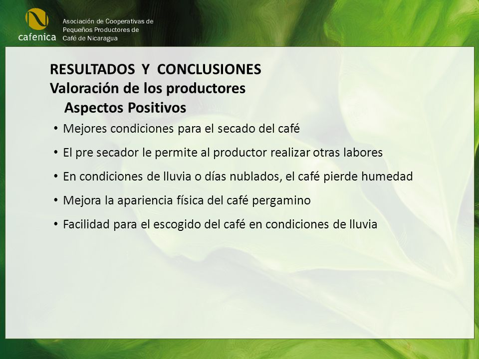 RESULTADOS Y CONCLUSIONES Valoración de los productores