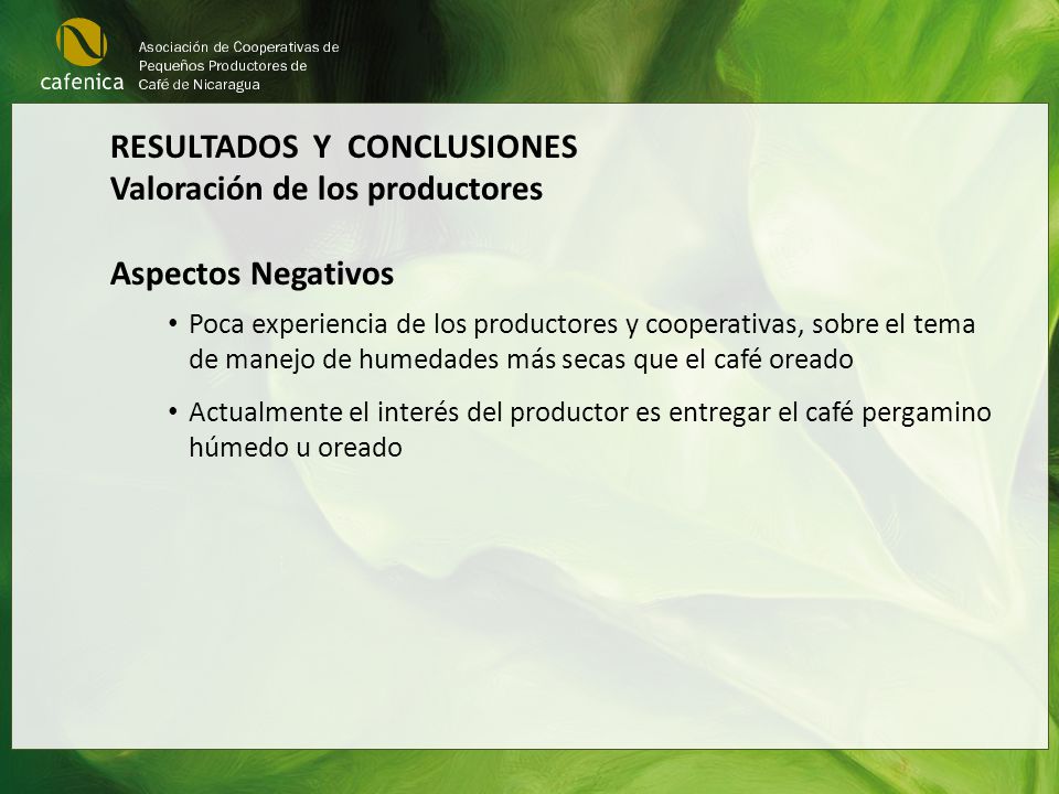 RESULTADOS Y CONCLUSIONES Valoración de los productores