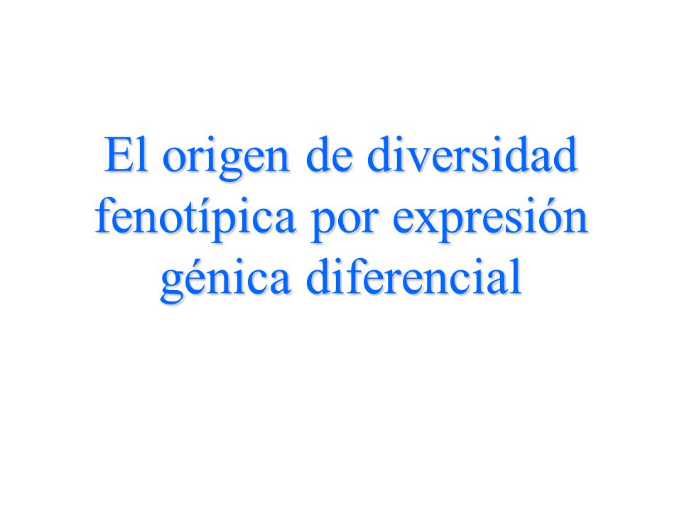 El origen de diversidad fenotípica por expresión génica diferencial