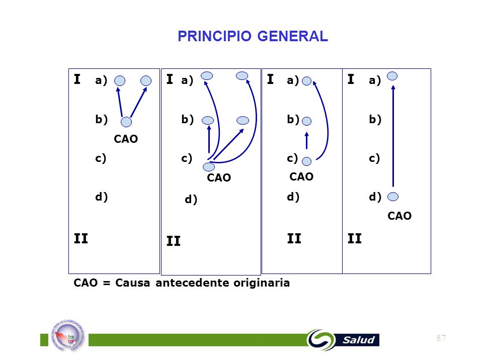 PRINCIPIO GENERAL I a) II I a) II I a) I a) II b) CAO c) d) b) c) CAO