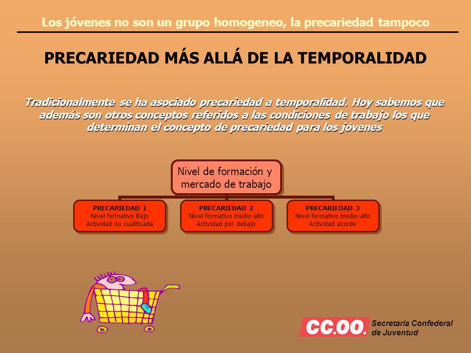 Los jóvenes no son un grupo homogeneo, la precariedad tampoco PRECARIEDAD MÁS ALLÁ DE LA TEMPORALIDAD