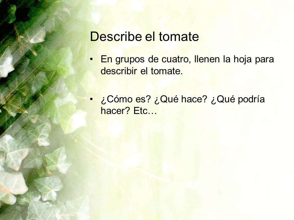 Describe el tomate En grupos de cuatro, llenen la hoja para describir el tomate.
