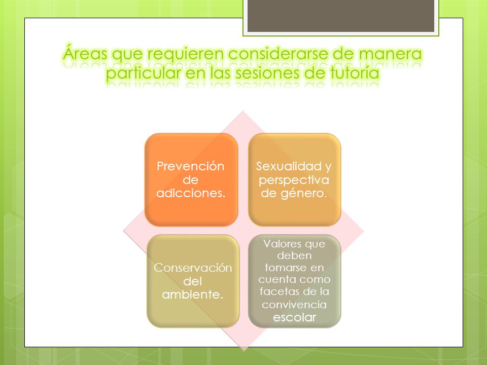 Áreas que requieren considerarse de manera particular en las sesiones de tutoría
