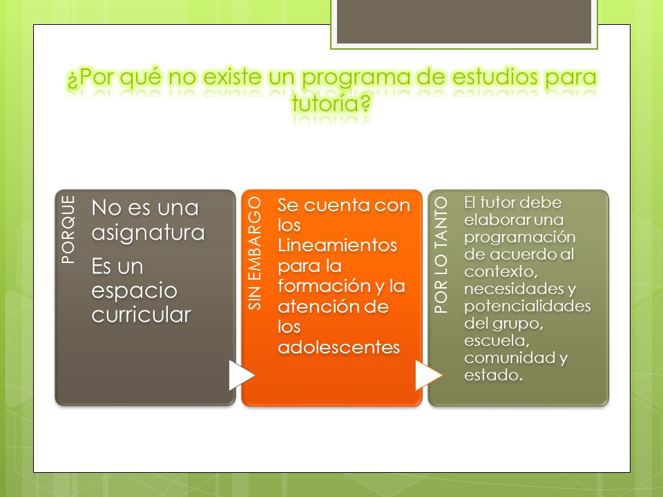 ¿Por qué no existe un programa de estudios para tutoría