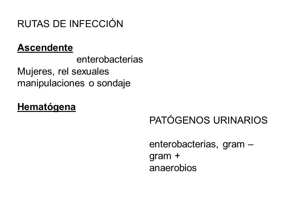 RUTAS DE INFECCIÓN Ascendente. enterobacterias. Mujeres, rel sexuales. manipulaciones o sondaje.