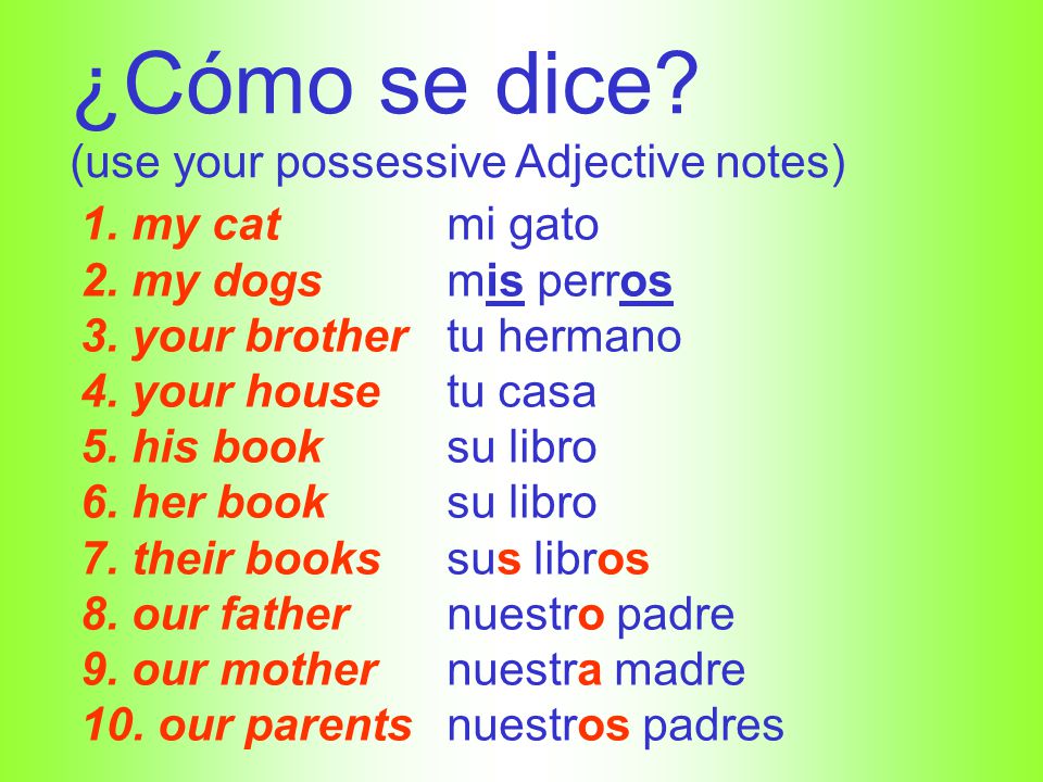 ¿Cómo se dice (use your possessive Adjective notes) 1. my cat