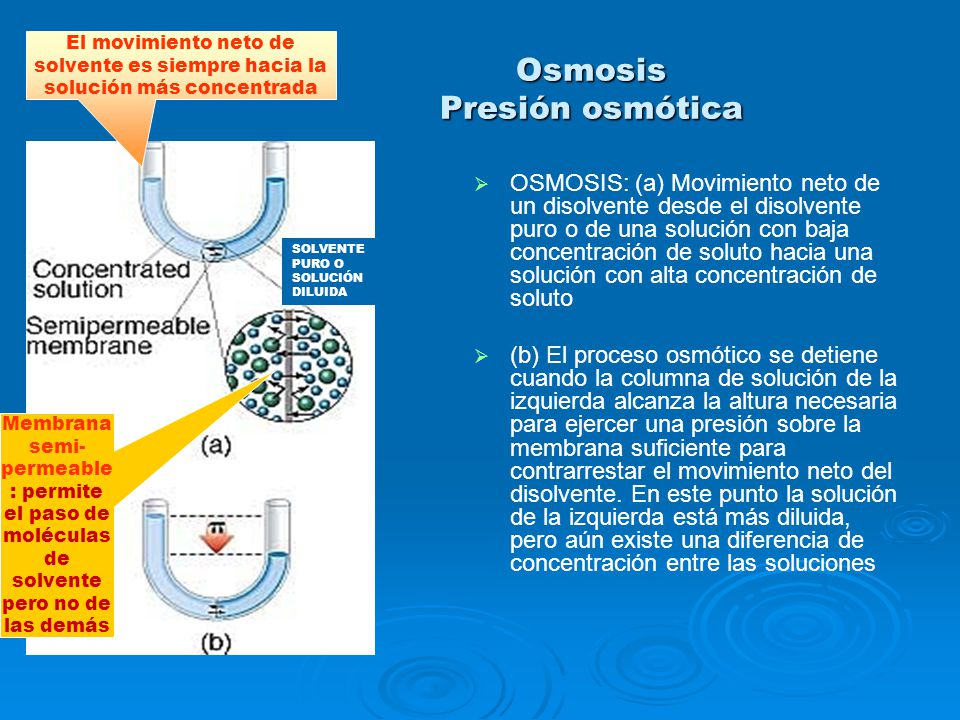 Osmosis Presión osmótica