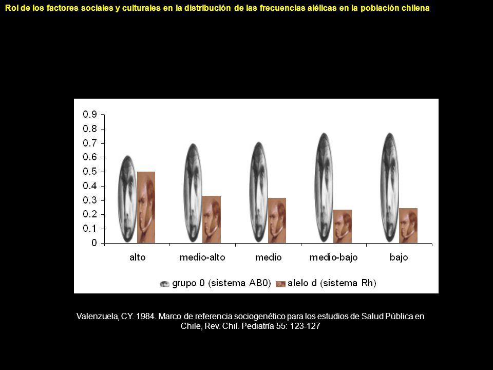 Rol de los factores sociales y culturales en la distribución de las frecuencias alélicas en la población chilena