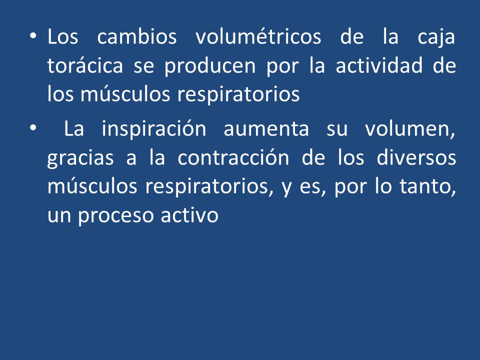 Los cambios volumétricos de la caja torácica se producen por la actividad de los músculos respiratorios