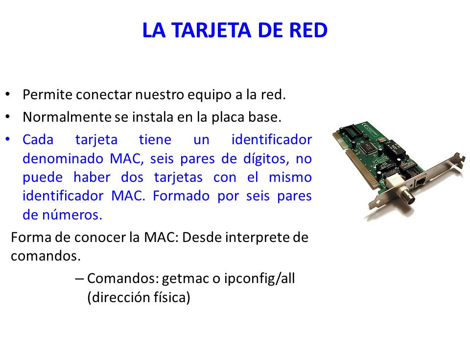 LA TARJETA DE RED Permite conectar nuestro equipo a la red.